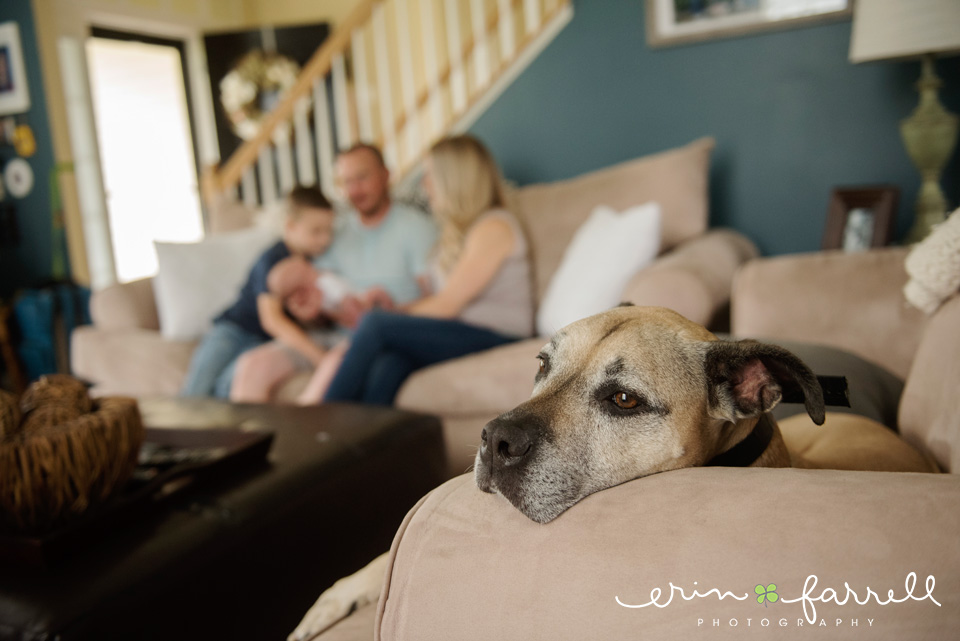 Delaware Newborn Photographer | The H Family 