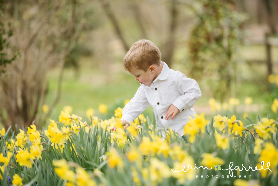 Middletown, Delaware Family Portrait Photographer | The D Family 